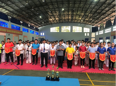 2019.5.7 giai teakwondo.png