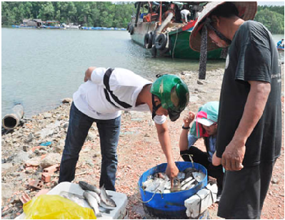 MUA HẢI SẢN TẠI LÀNG BÈ.png