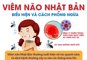 Phường Nhơn Trạch ghi nhận 01 trường hợp mắc viêm não Nhật...