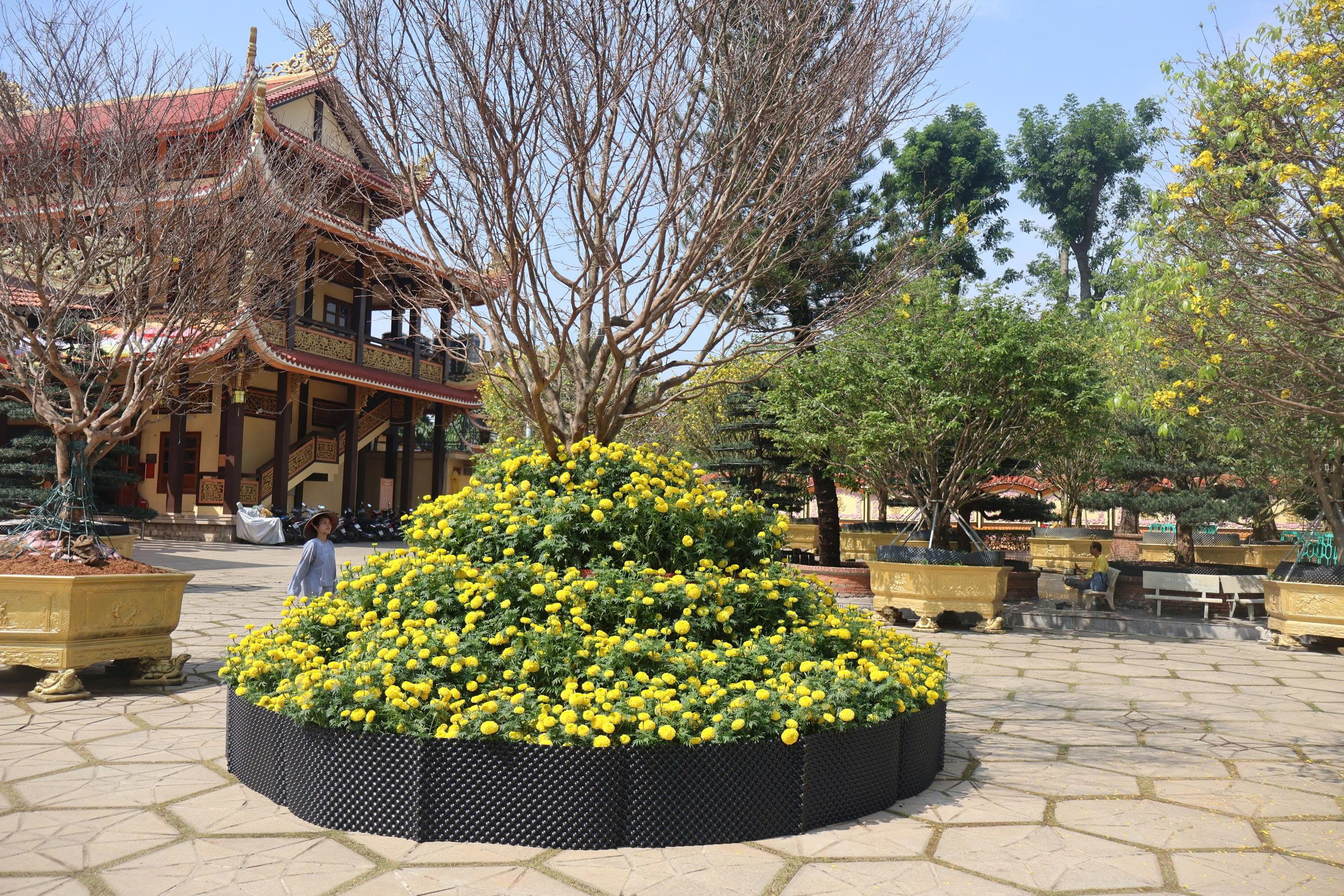 z7531096617574 b294411ccfde9170d34f3bd899b279e3